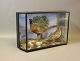 Decorative glass case from the 1930s with a pair of taxidermy pheasants. 5000m2 showroom.